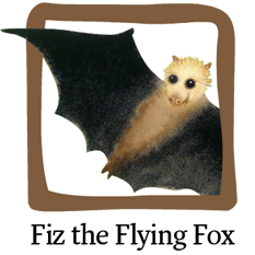 Visit Fiz