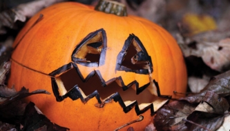 Read What to do on Halloween?