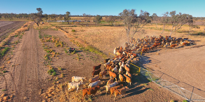 Humbling ourselves during a time of drought image