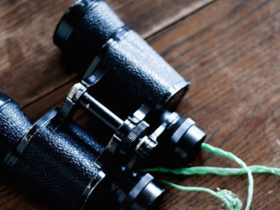 Parenting: it’s a long-term thing image