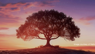 Read Equipping our children to stand firm and stand out