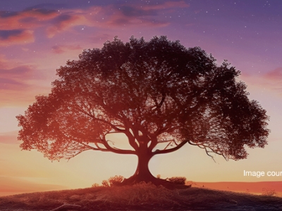 Equipping our children to stand firm and stand out image