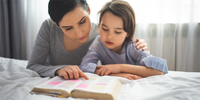 Read The value of memorisation