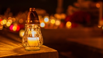 Read How to navigate Halloween